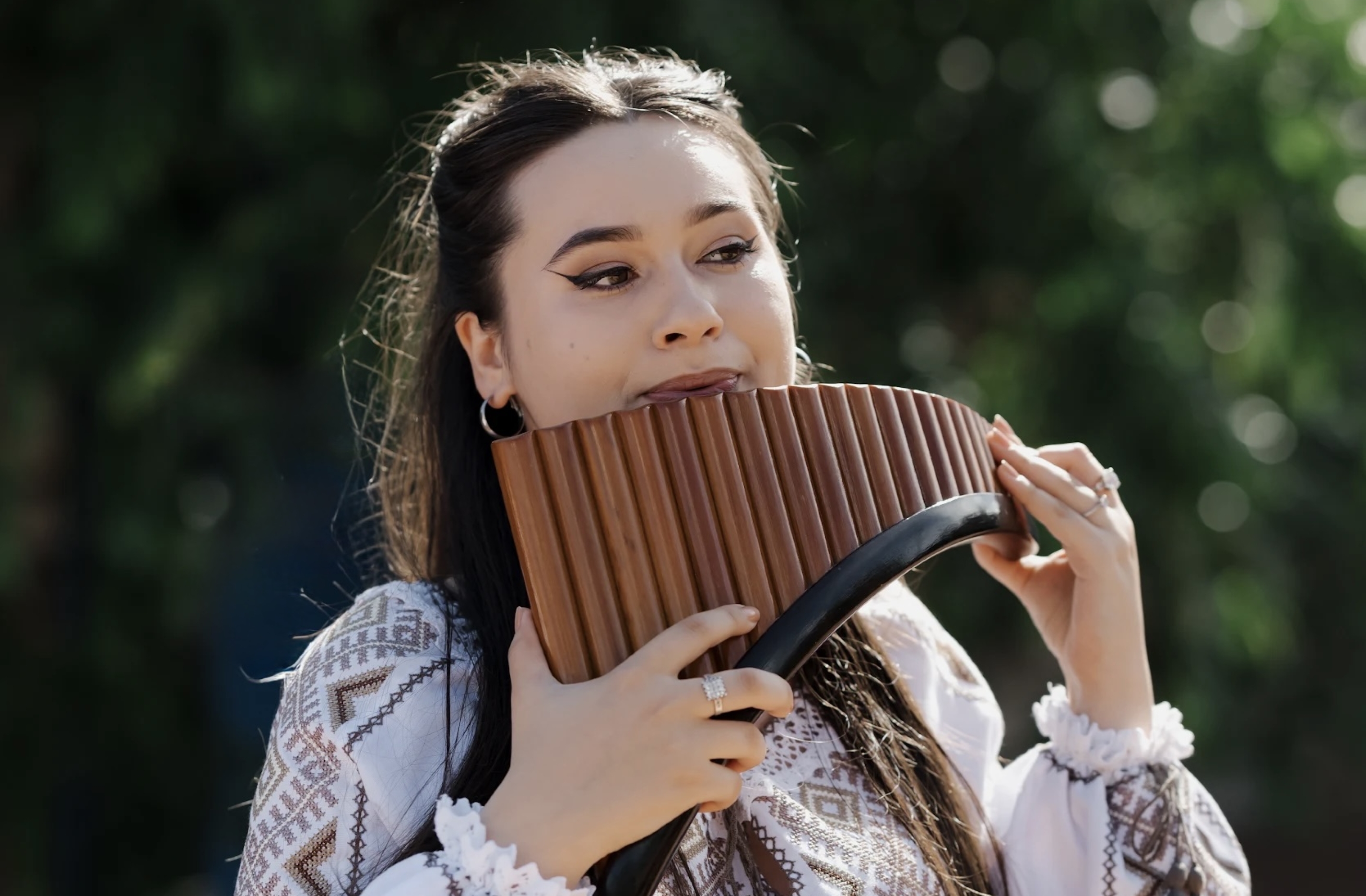 Pano fleitos giesmė